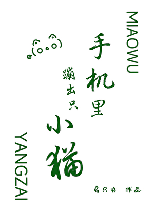 手机里蹦出只小猫