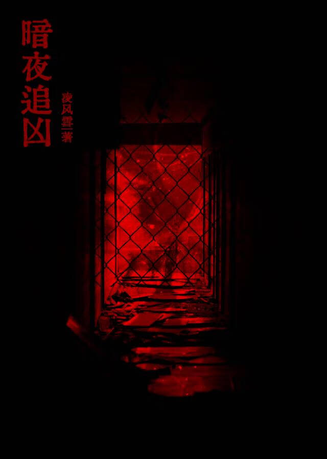 暗夜追凶［刑侦］